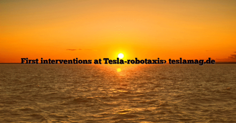 First interventions at Tesla-robotaxis> teslamag.de